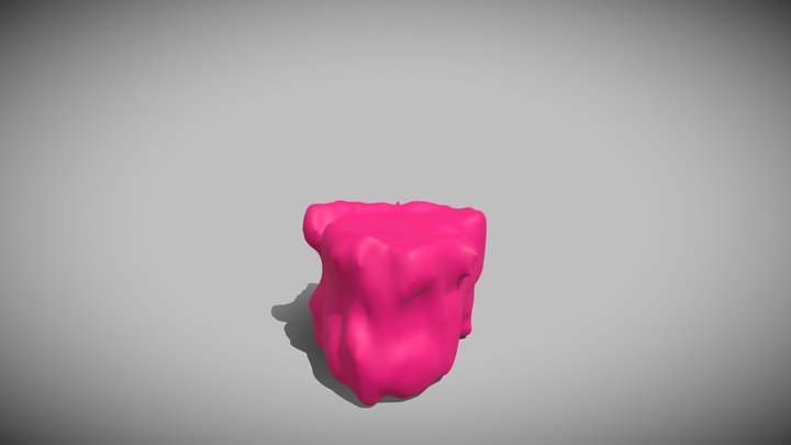 Thoracic Vertebrae 3D Model