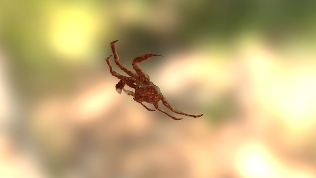333Crabby 3D Model