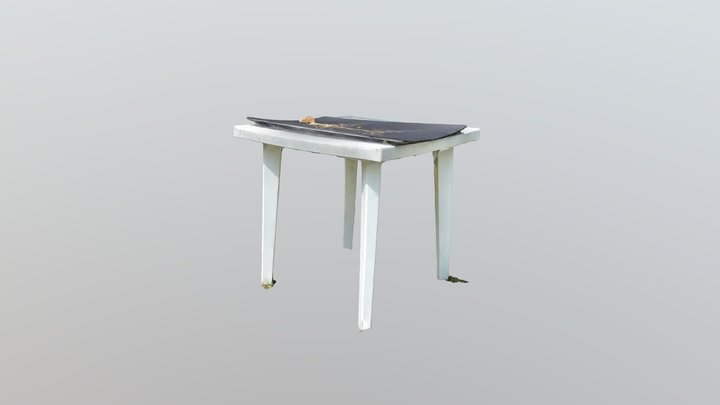 Sistema nervioso canino en mesa 3D Model