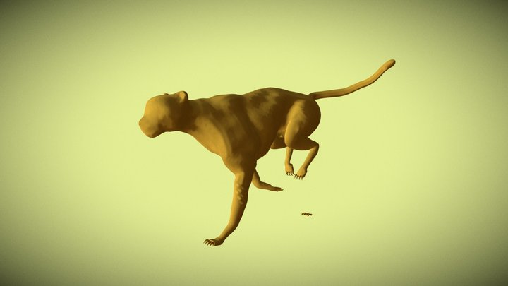Cheetah Run Cycle 3D Model