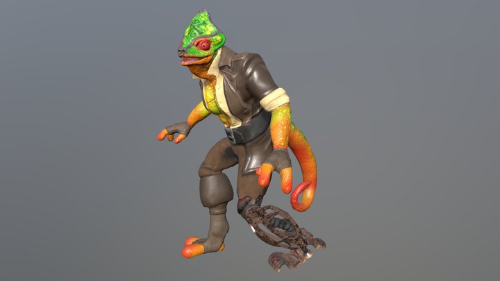 Chameleon Pirate 3D Model