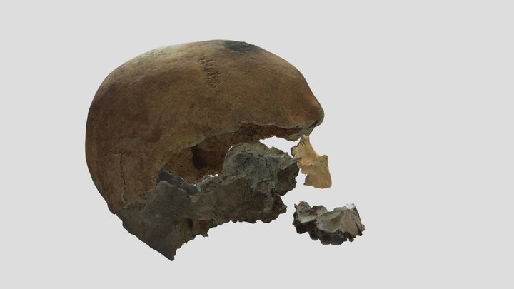 UE6138 3D Model