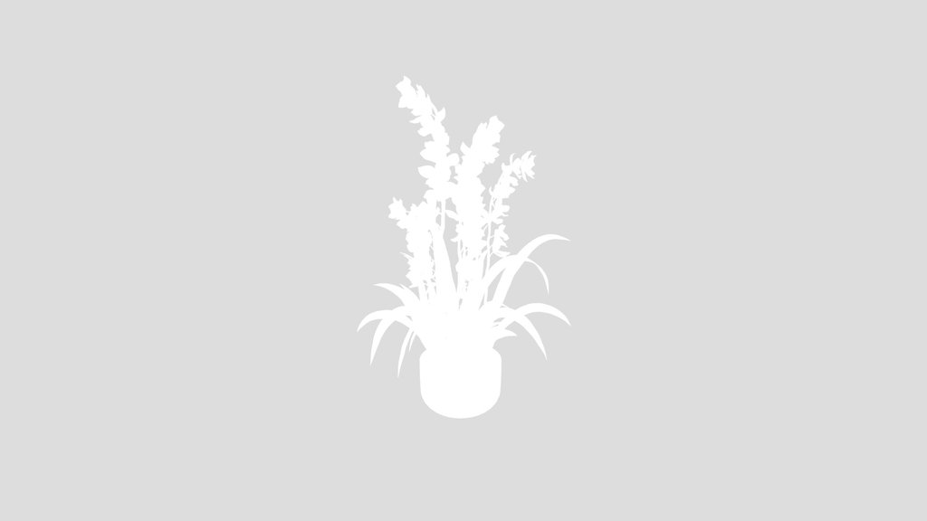 Yellow Orchid Plant In Pot