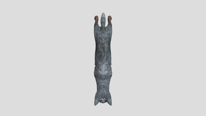 Perro 3D Model