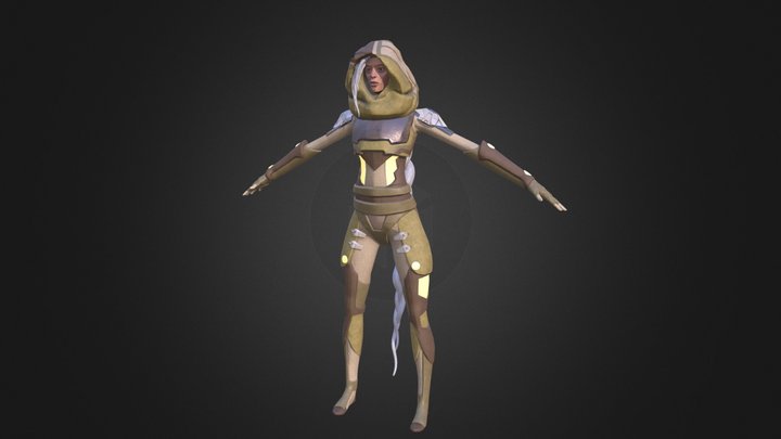 RogueNinja 3D Model