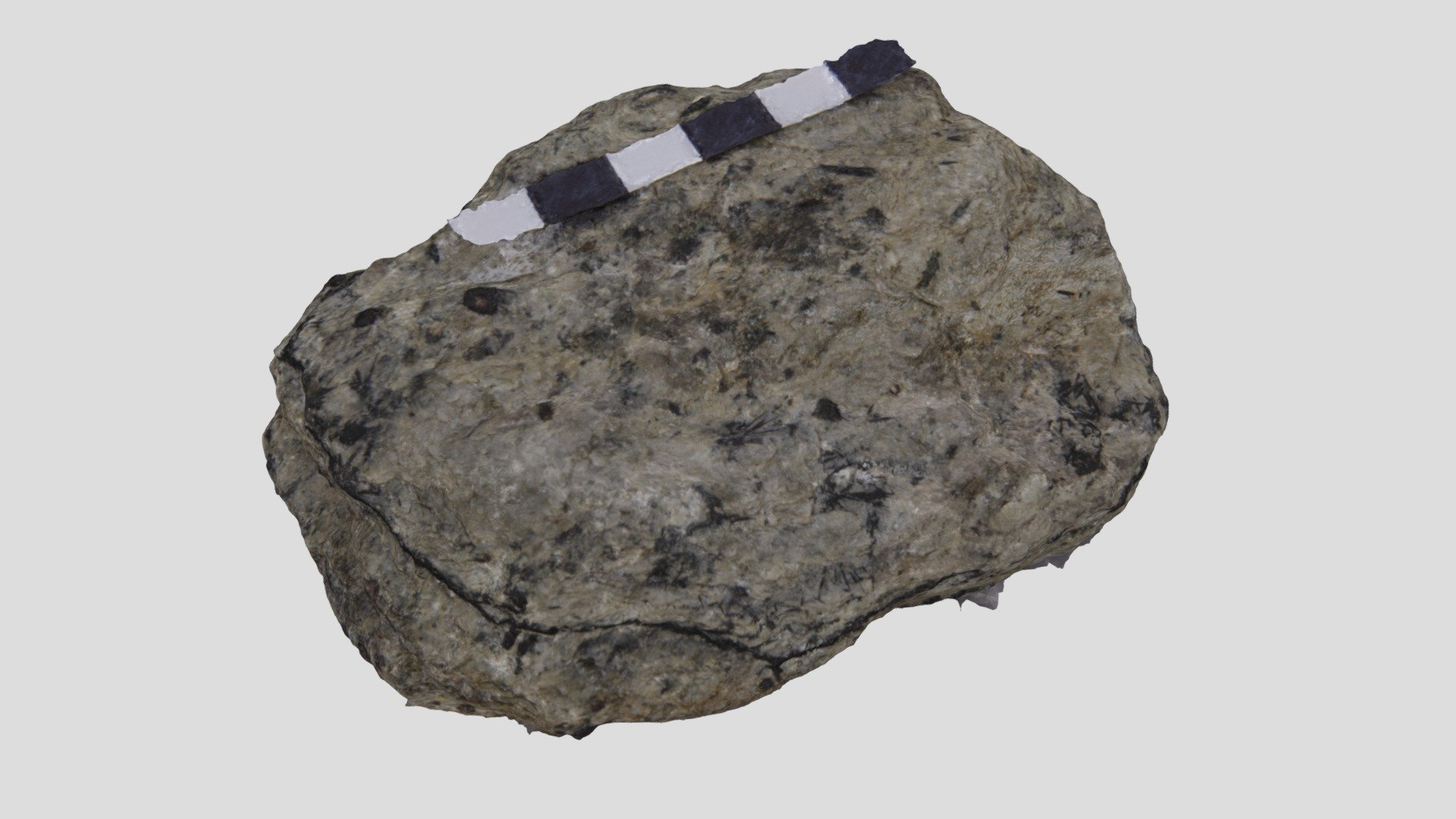 VLS Rock sample 9