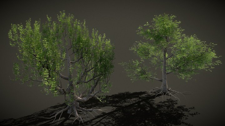 Realistic Trees Pack of 2 Free 3D Model