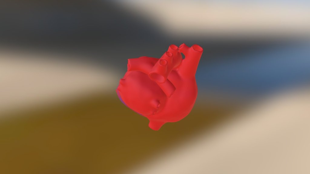 Heart