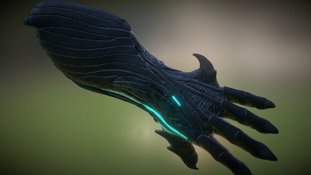 Forearm 3D Model