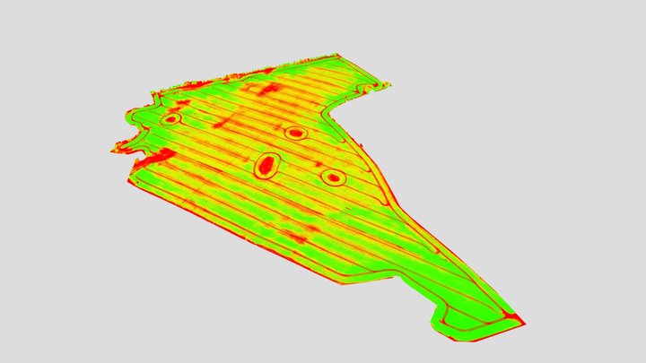 Feld_NDVI 3D Model