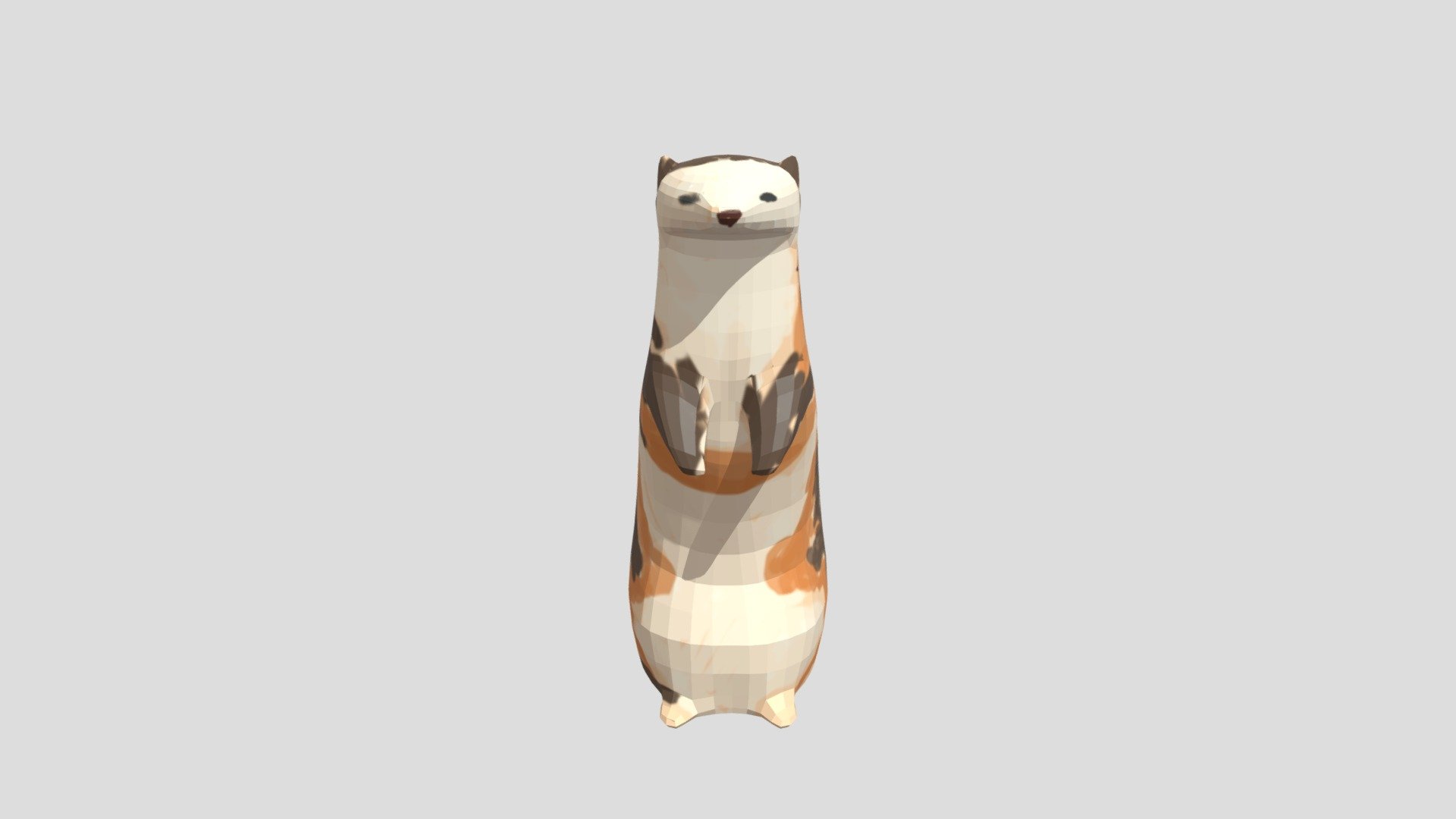 Ferret