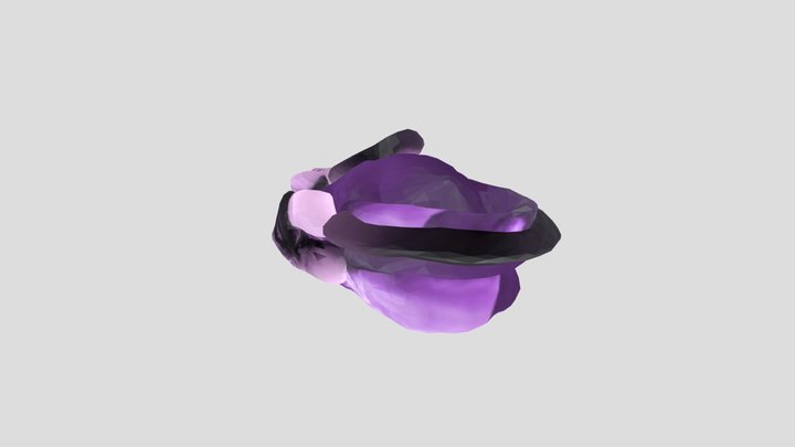Croc 2 3D Model