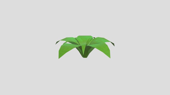 Plant 3D Model