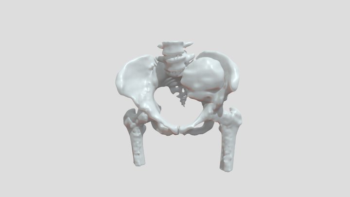 obj wavefront 3D Model