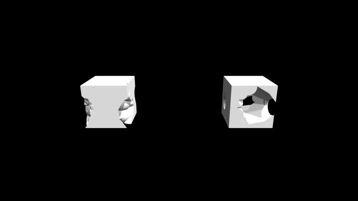1 3D Model