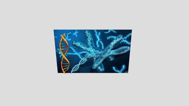 Dna 3D models - Sketchfab