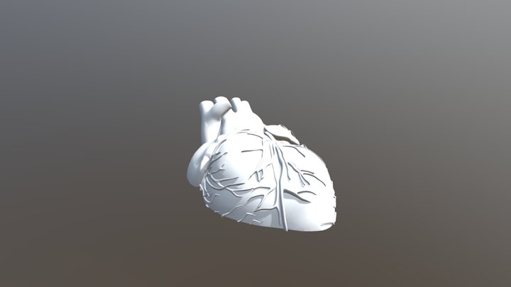 Heart L 3D Model