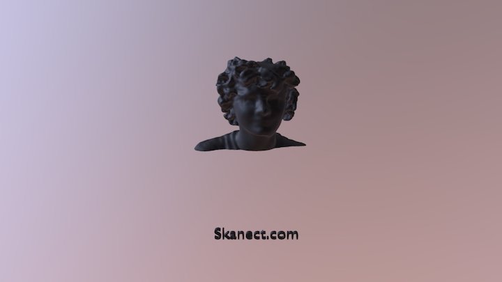New Skanect Model 3D Model