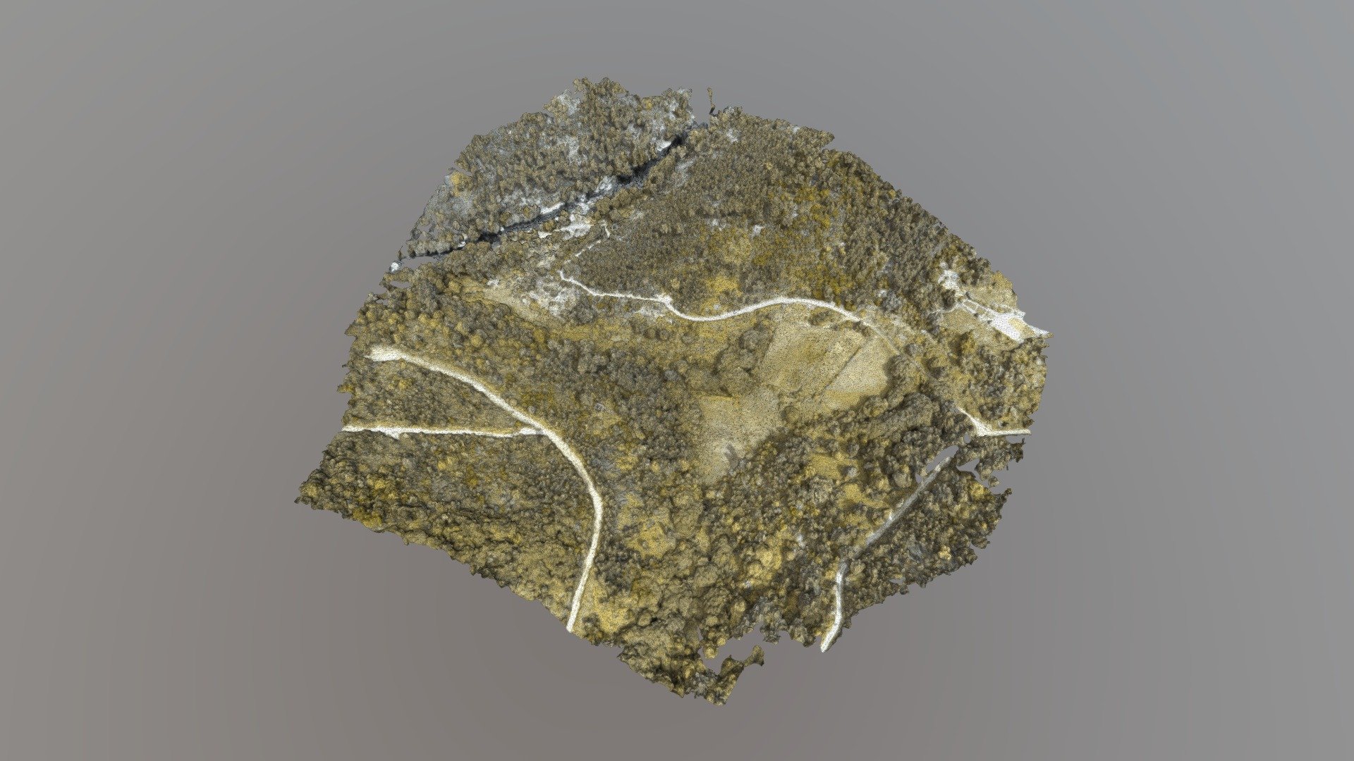 2019-06 AT-NMC-MI01