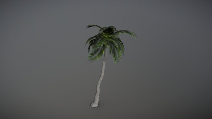 Tropical Palm – Free 3D Model STL