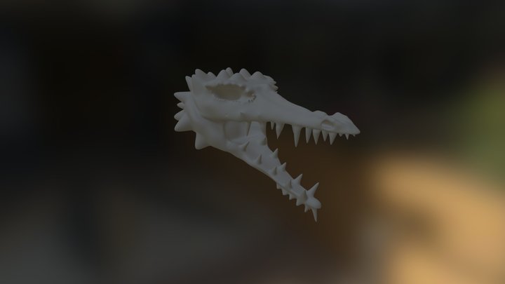 Dragonhead01 3D Model