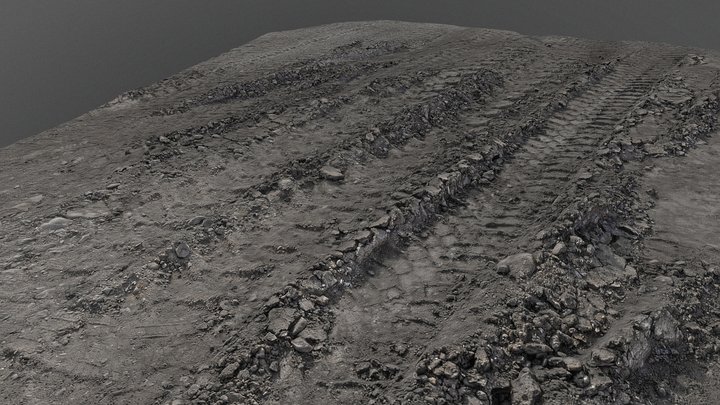 Dust mud tracks 3D Model