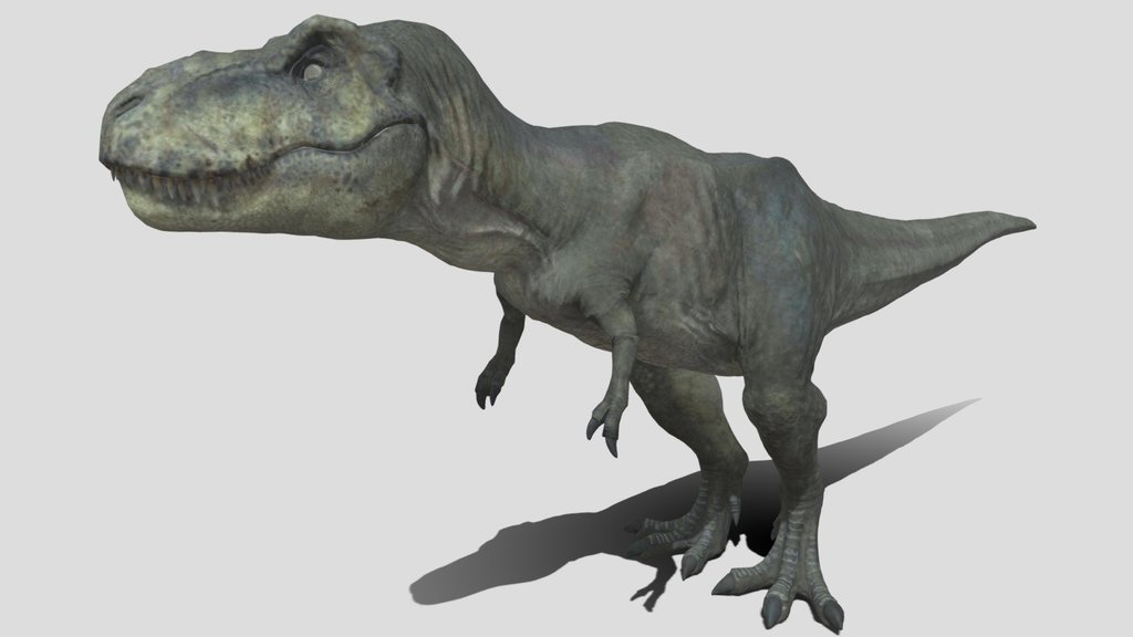 ICarlton High quality Tyrannosaurus Rex