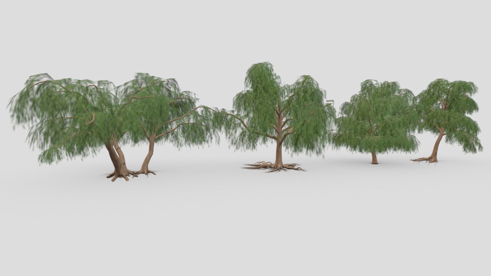 Prosopis Tree- Pack- 02 - Buy Royalty Free 3D model by ASMA3D [08d8933 ...