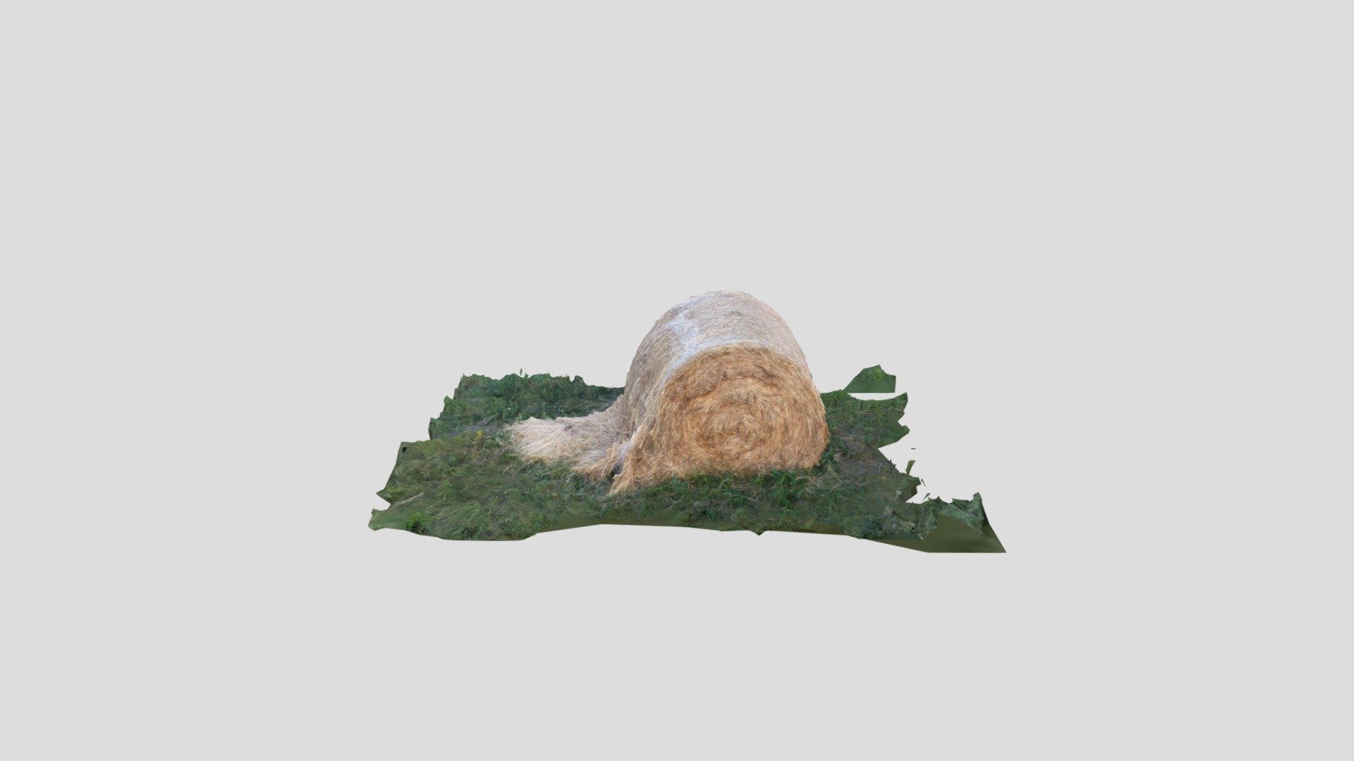 Haybale - 3D model by zdendal [08db016] - Sketchfab