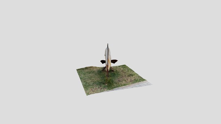 Model fish 3D Model