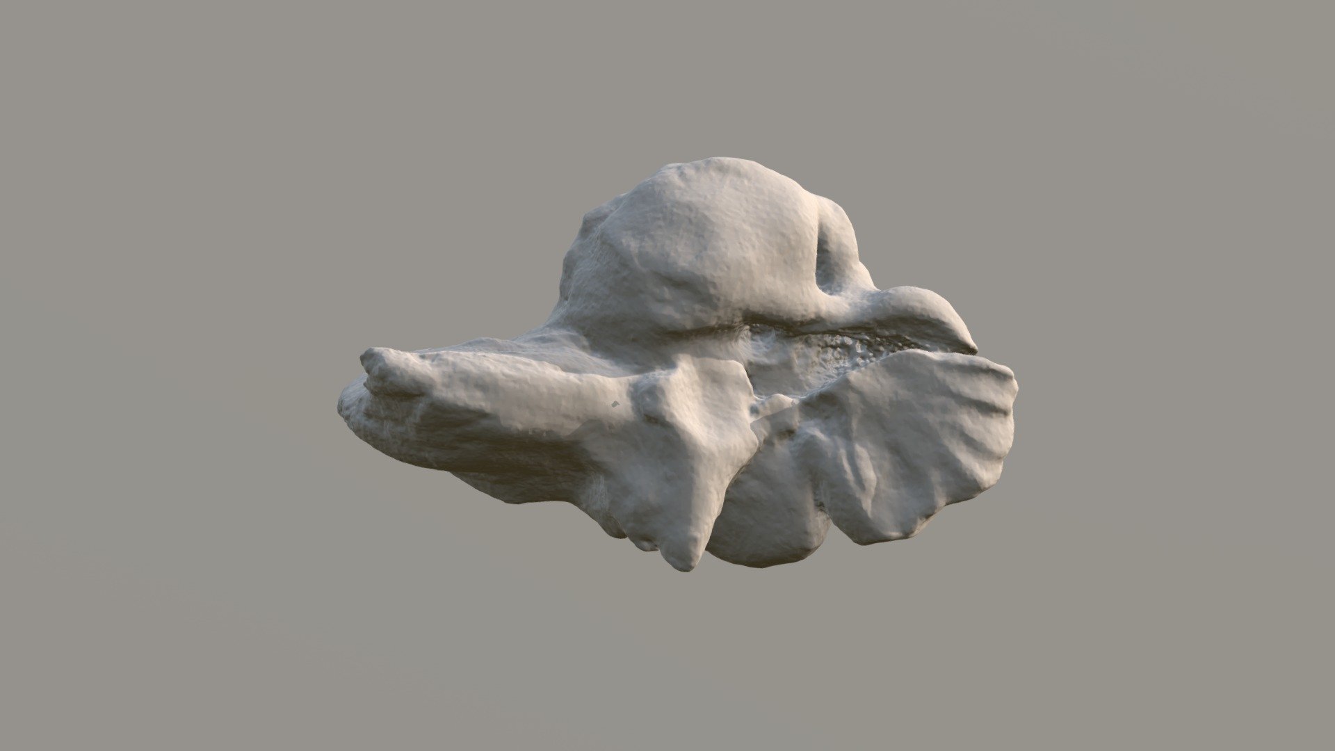 Stapes - ear bone - 3D model by robotron (@robotron) [69dfcce]