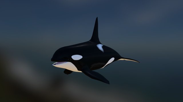 Orca 3D Model