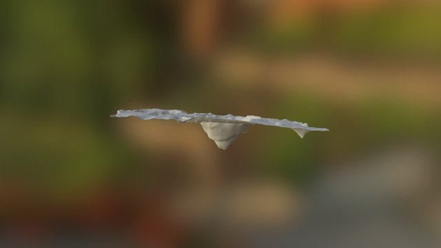 Arena 3D Model