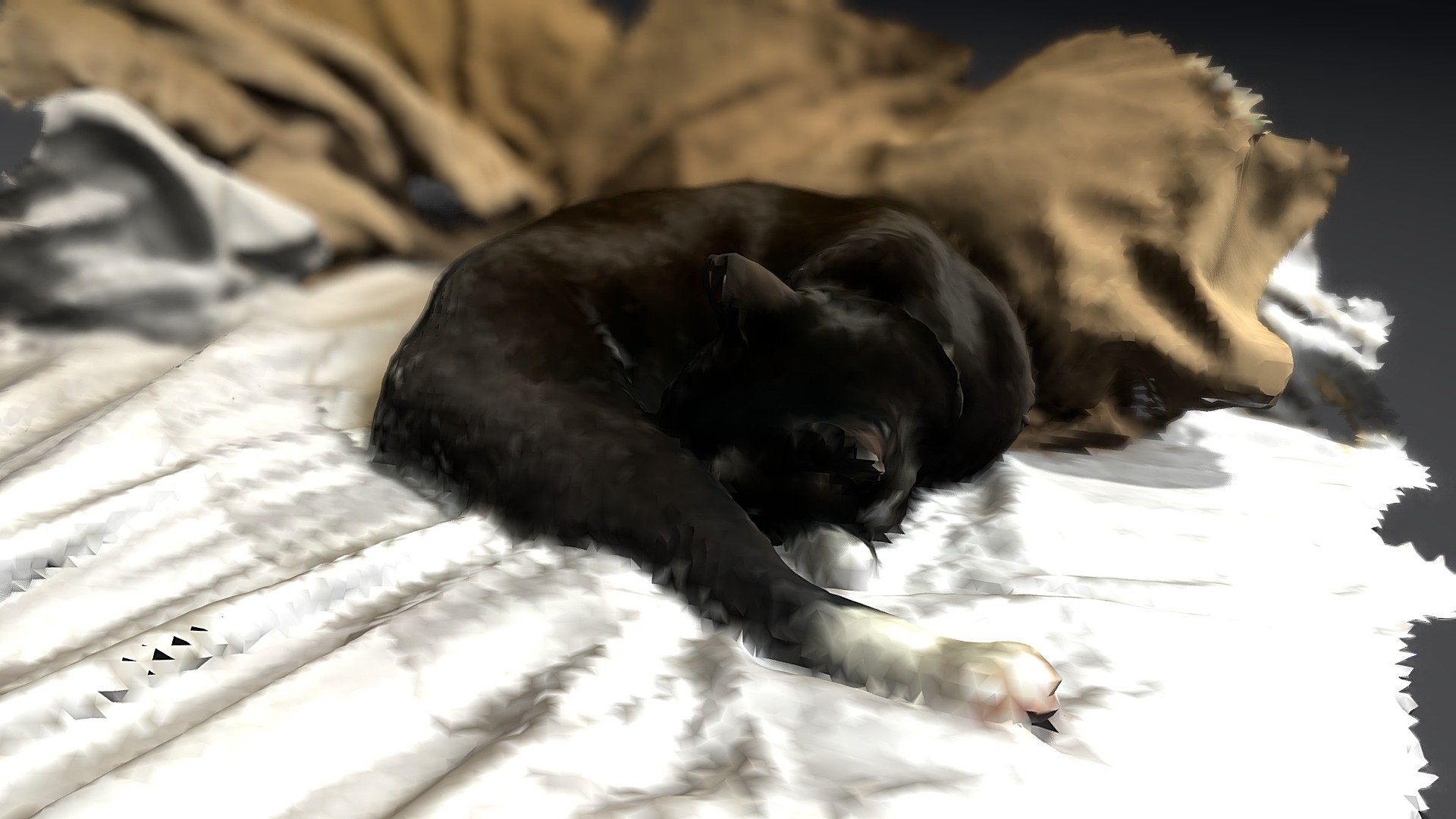 Pretzel Cat