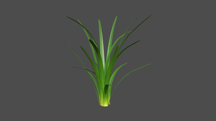 Marine plant – Free 3D Model STL