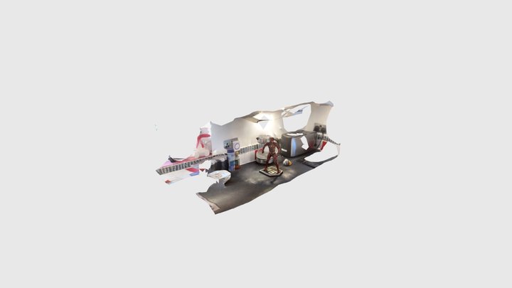 The Flash 3D Model