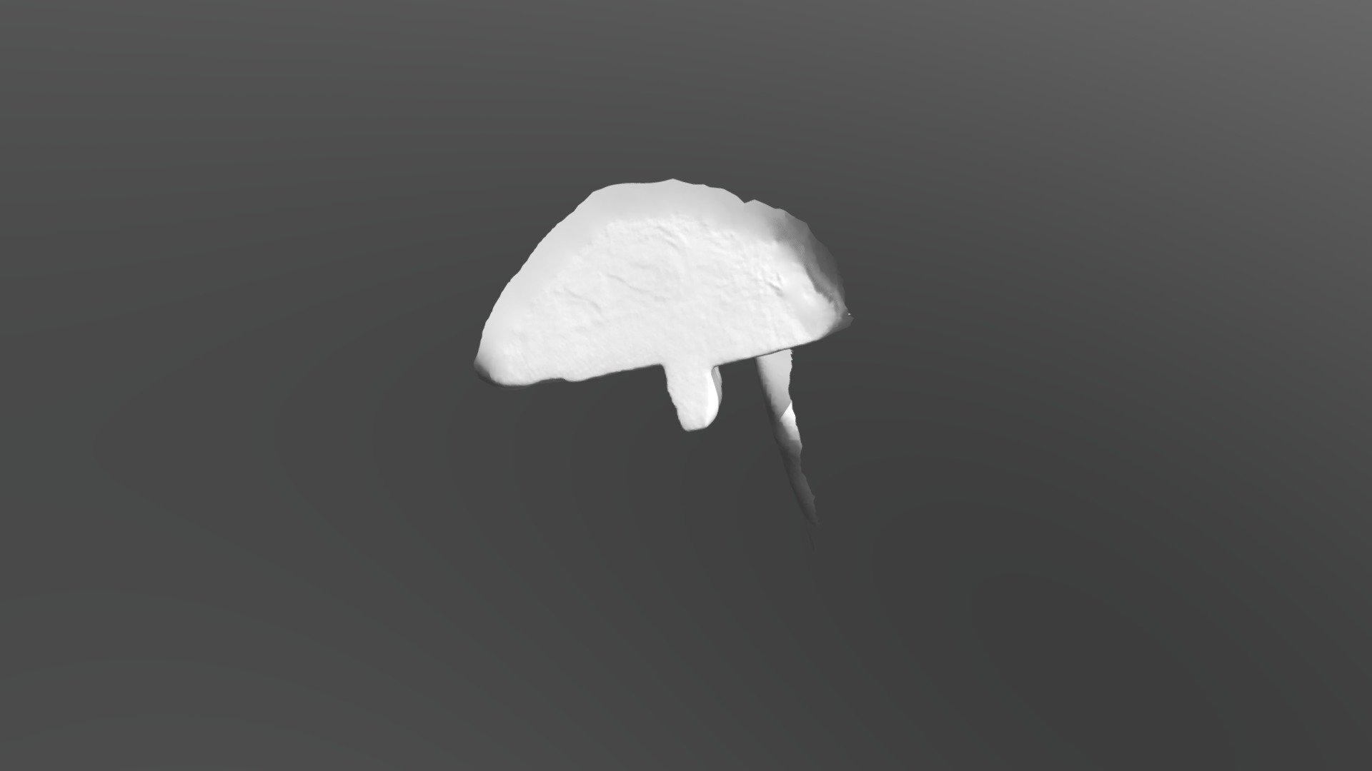 Museum Model