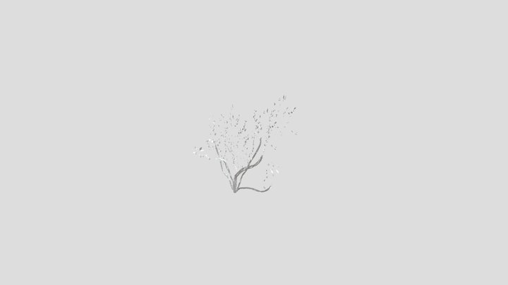 Desert_willow1 3D Model