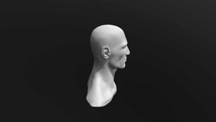 Male_Head_8 3D Model
