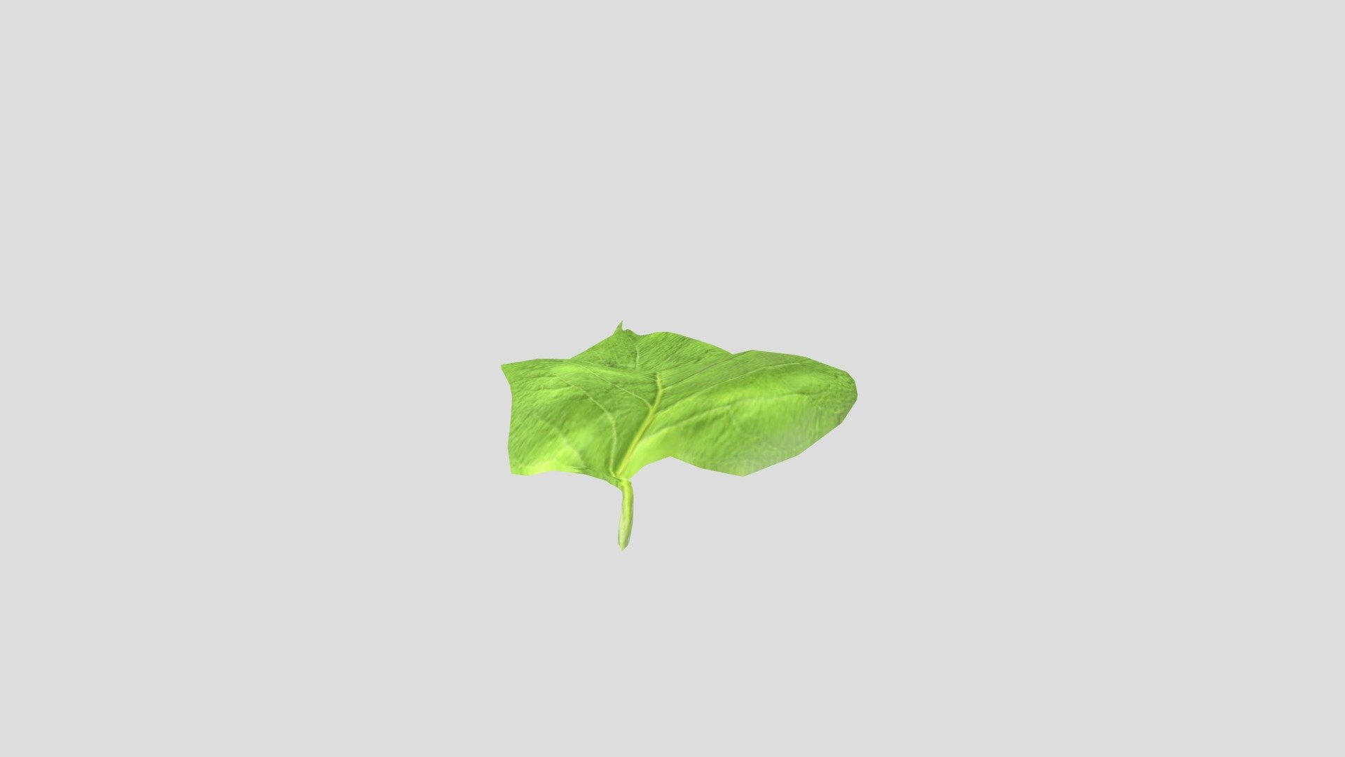 Hoja de árbol