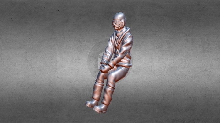Stearman Pilot – Gratis 3D-model STL