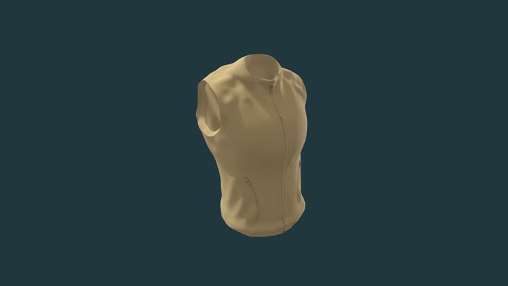 vest 3D Model