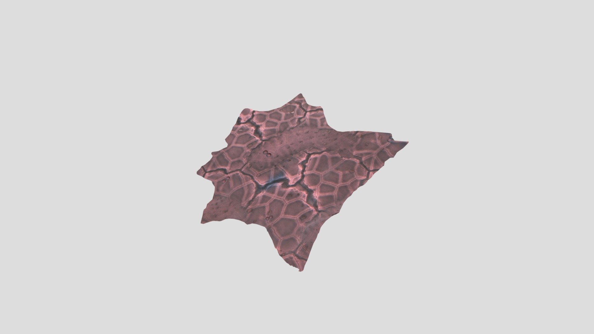 Animal — Sketchfab embed 3D viewer