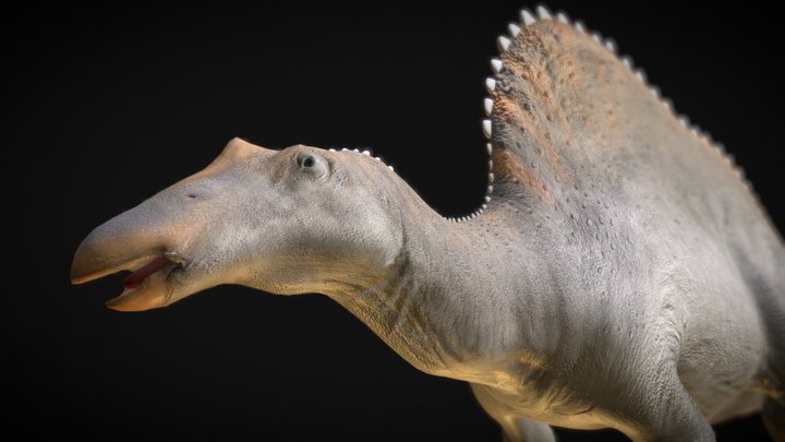 Oranosaurus 3D Model