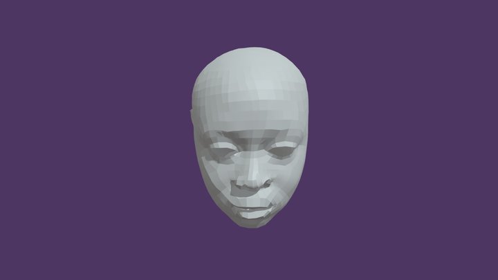 Face Retopology 3D Model
