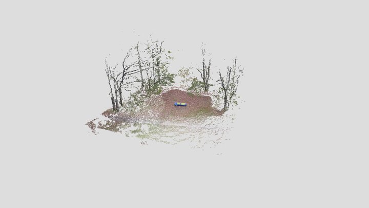 Park Point Cloud 3D Model