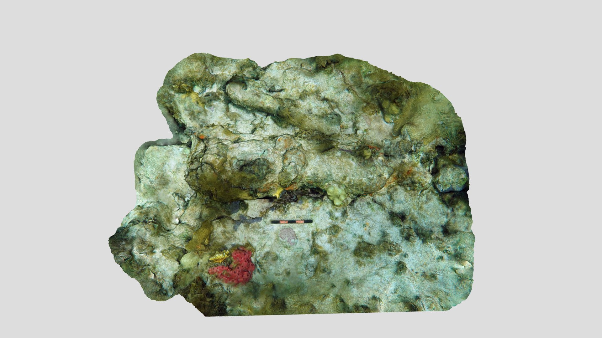 Guerrero Unidentified Iron Concretion (2019)