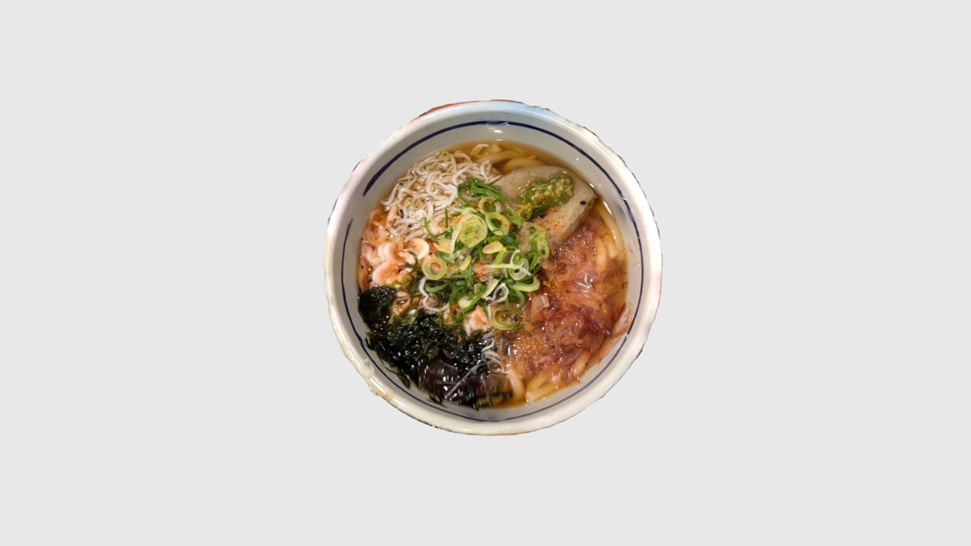 Numazu Special Udon Noodle