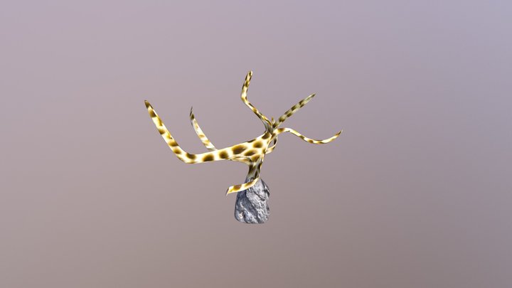Coral 3D Model