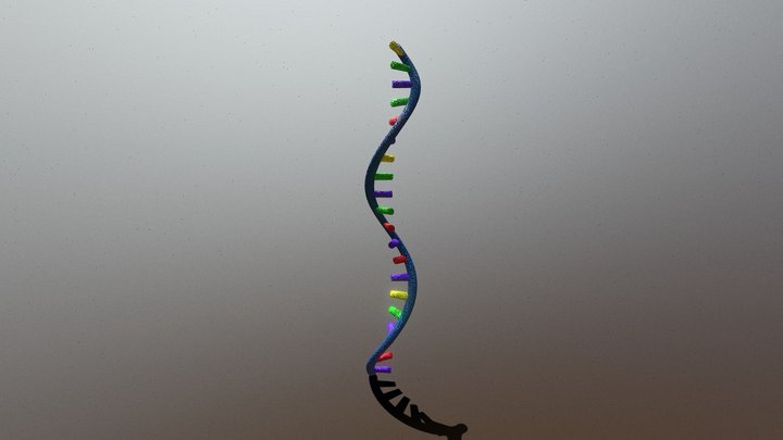 RNA - GROUP 4 3D Model